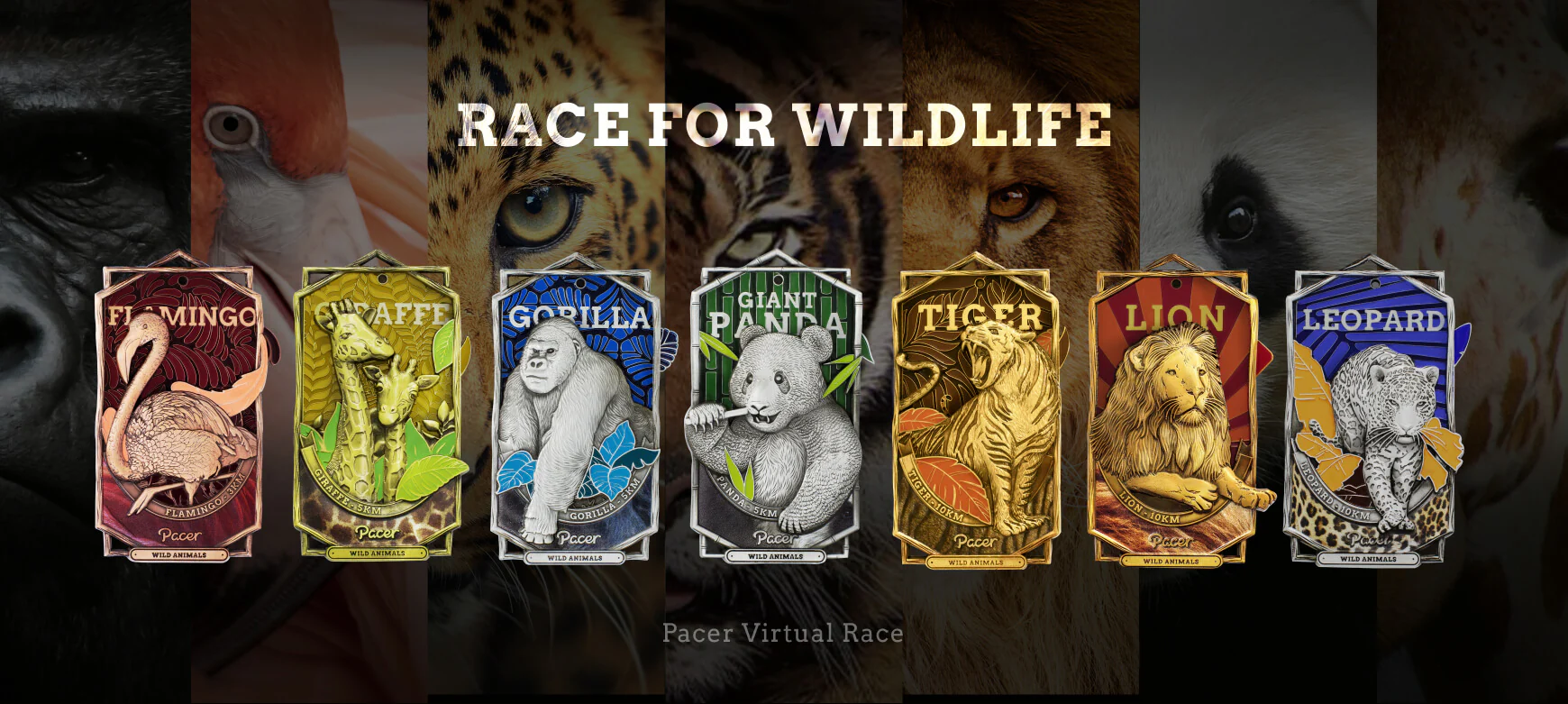 Race Anywhere, Earn Everywhere